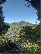 4th Aug 2021 - Mount Te Aroha the goal