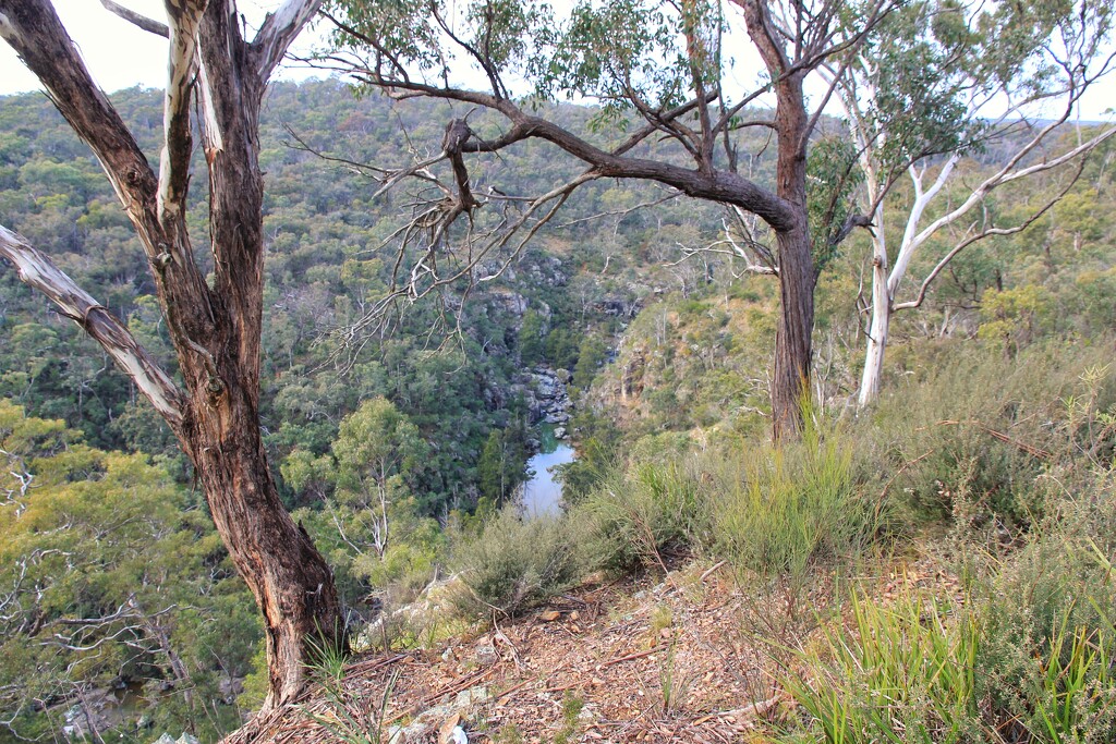 View over Bungonia Creek by leggzy