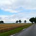 rural landscape by gijsje