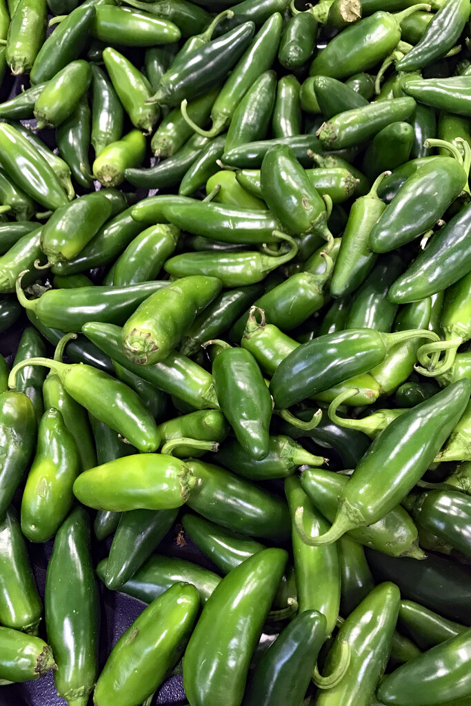 Peppers by jaybutterfield