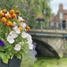 Flowers on bridge  by cafict