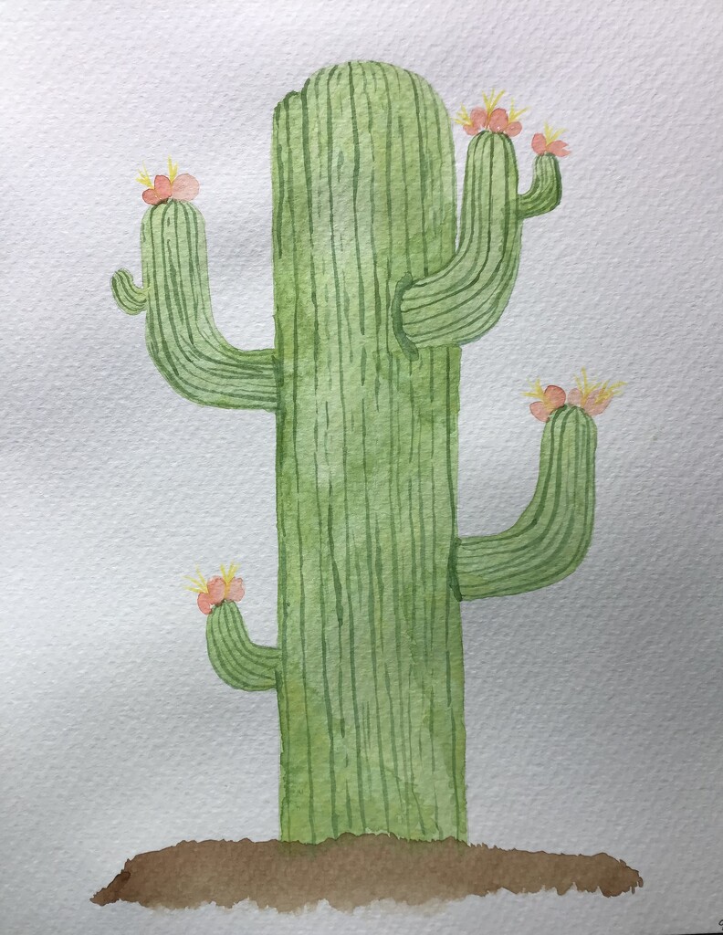Everyday Watercolor Day 16 by juliedduncan