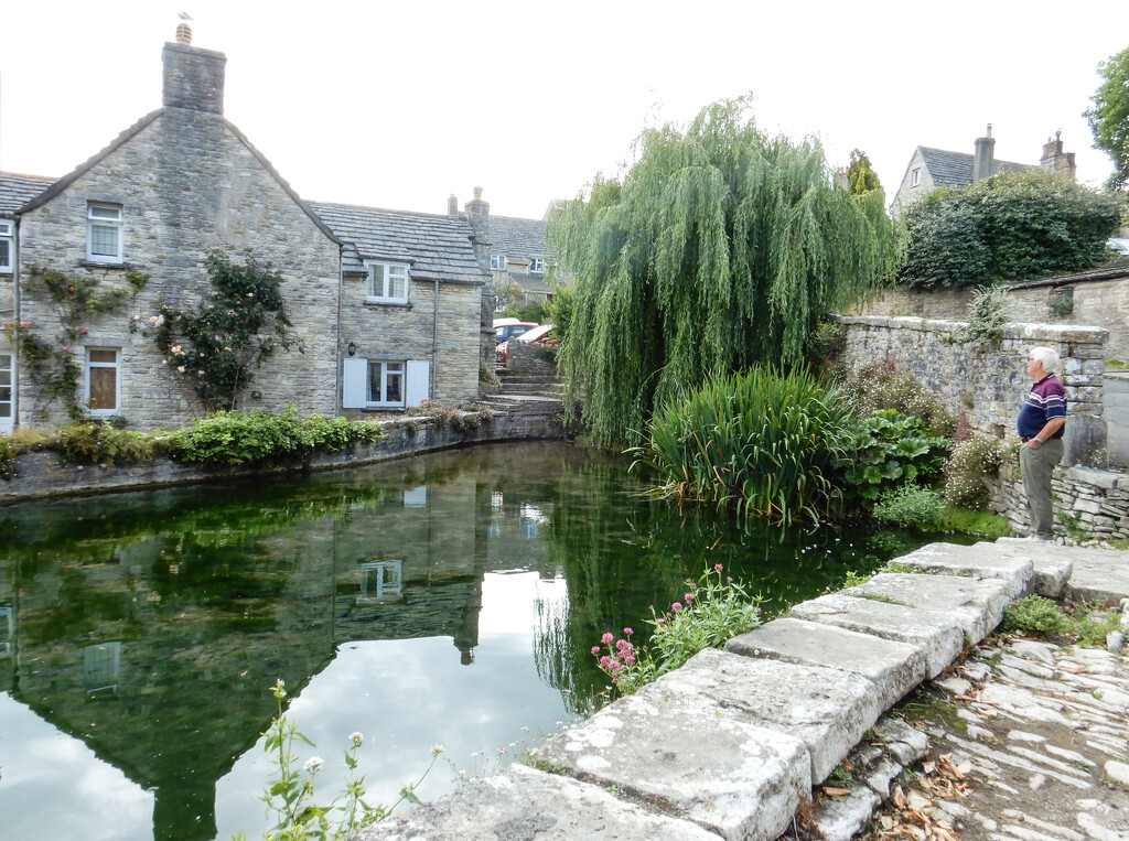 Swanage mill pond by busylady