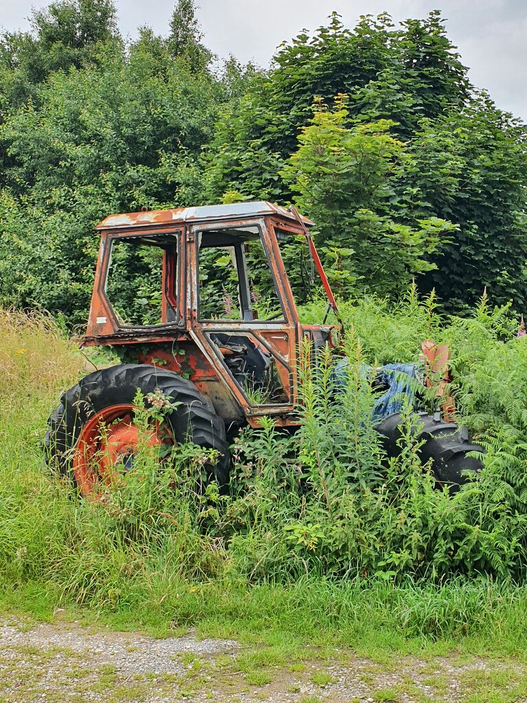 Tractor by janetr