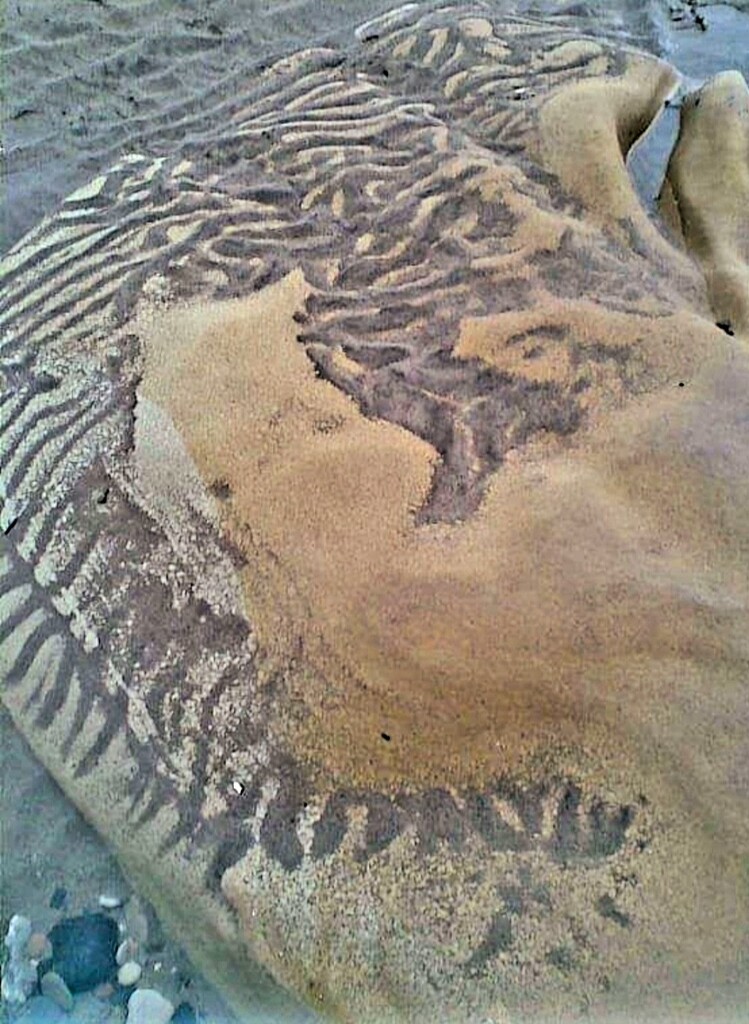 Sand Ripples on a Rock. by teresahodgkinson