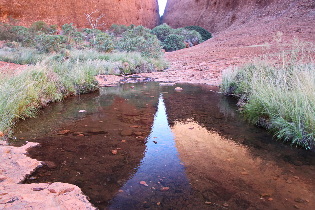 Walpa Creek Reflections by terryliv