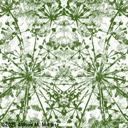 4th Aug 2021 - Dill Stars Fabric - Green on White