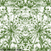 Dill Stars Fabric - Green on White by falcon11