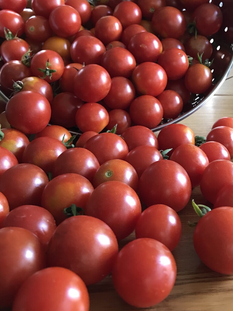 Grape tomato avalanche by beckyk365