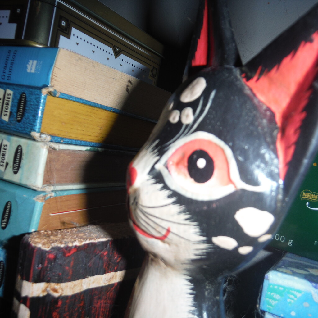 Eye #7: Wooden Cat Bookend by spanishliz