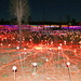 Field of Lights - Flash by terryliv