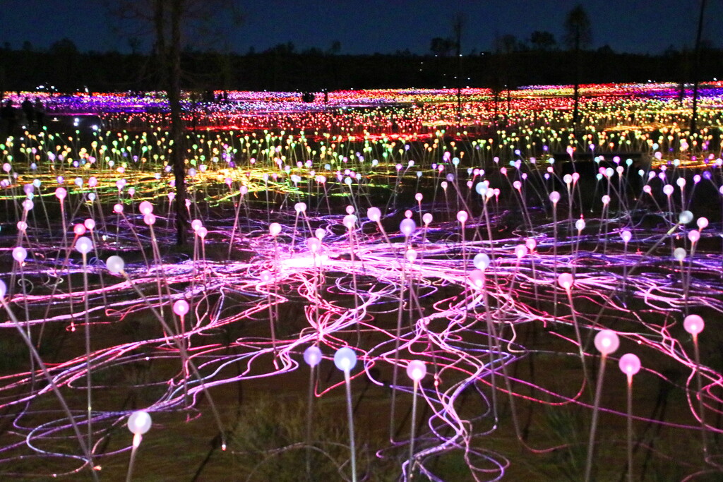 Field of Light - Sans Flash by terryliv