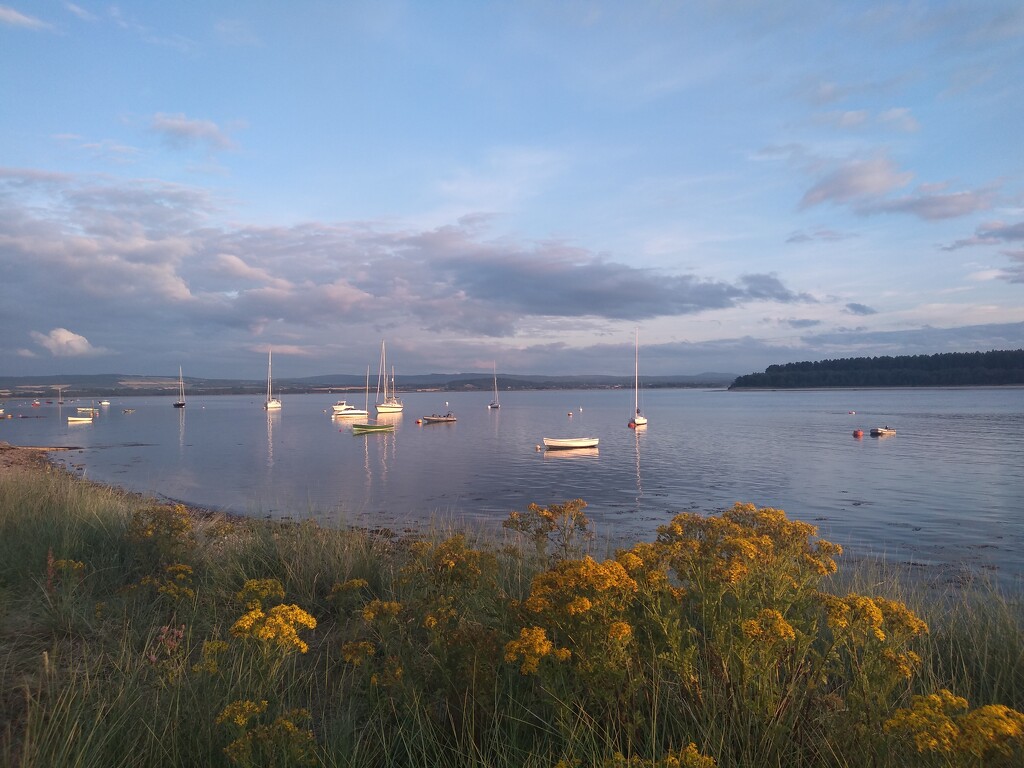 Fabulous Findhorn by moirab