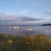 Fabulous Findhorn by moirab