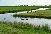 4th Aug 2021 - Polder in Holland