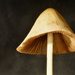 Cone Cap by lsquared