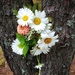 Tree bouquet by edorreandresen
