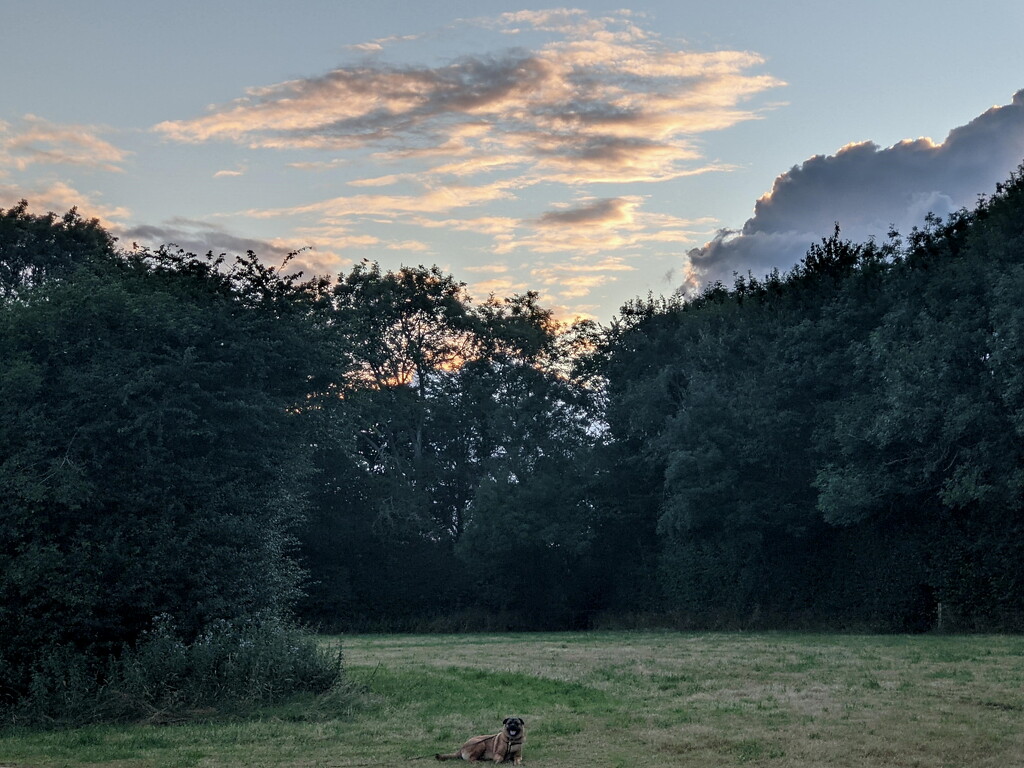 Evening Skys by bulldog