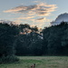 Evening Skys by bulldog