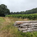 Big Logs From Bottom Wood by bulldog
