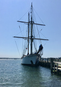 6th Aug 2021 - The Corwith Cramer resting
