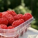 Raspberries by fauxtography365