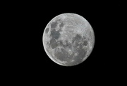 15th Jul 2021 - A Moon Shot