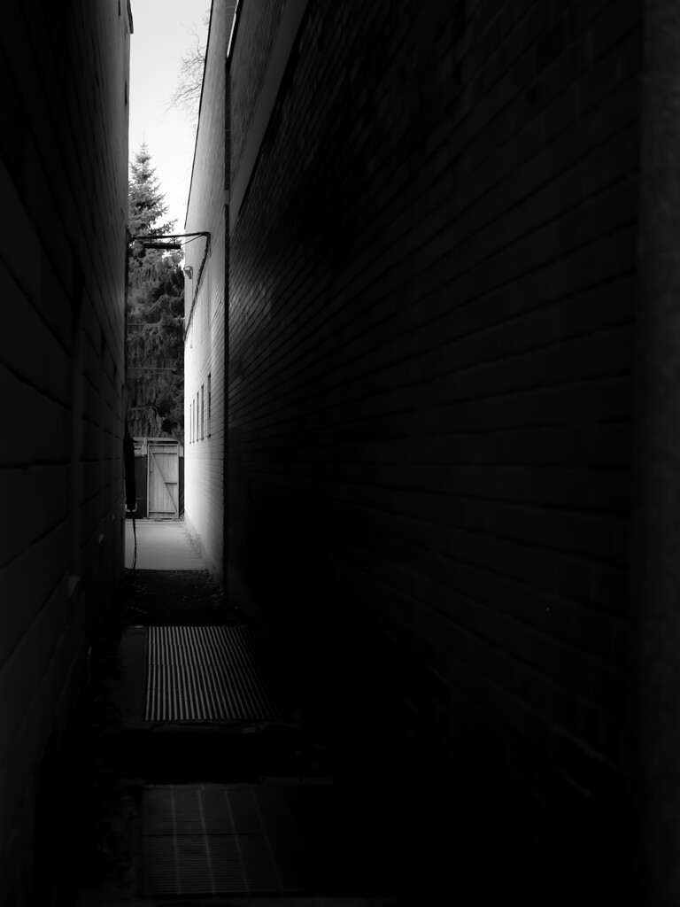 the door at the end of the alleyway by northy