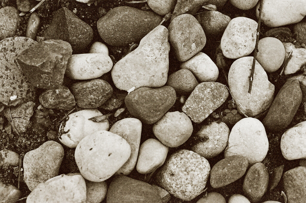 heart rock by jackies365
