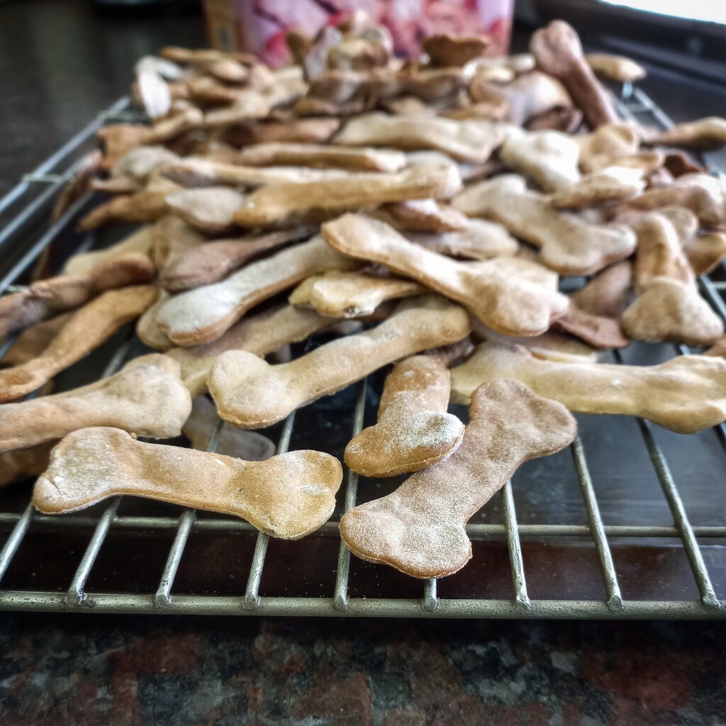 Dog biscuits by salza