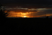 8th Aug 2021 - Lincolnshire Sunset