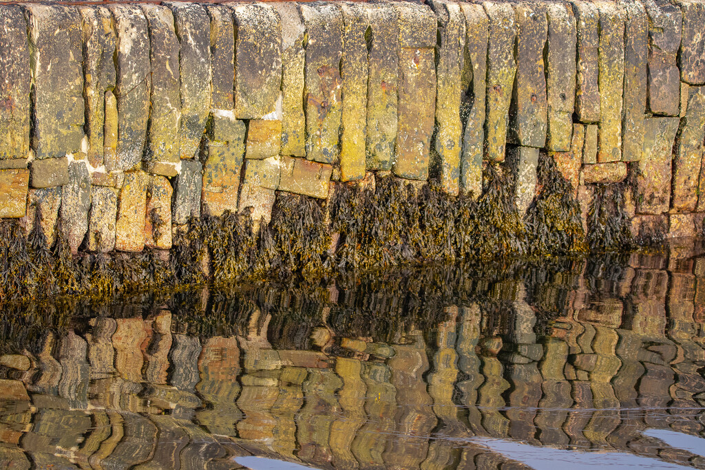 Pier Wall by lifeat60degrees