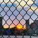 The Sunset & The Fence by yogiw