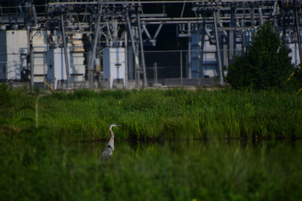 Nature and Industry by kareenking