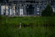 2nd Aug 2021 - Nature and Industry