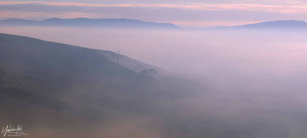 Misty morning by yorkshirekiwi