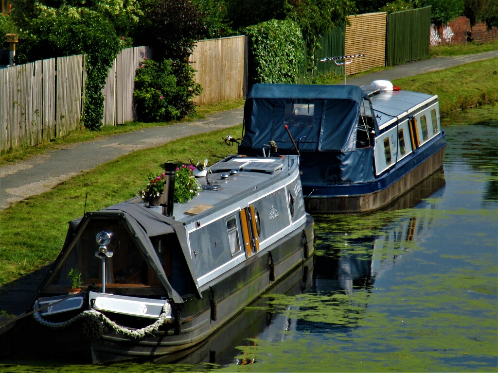 Two boats on the Rishton part of the LL Canal by grace55