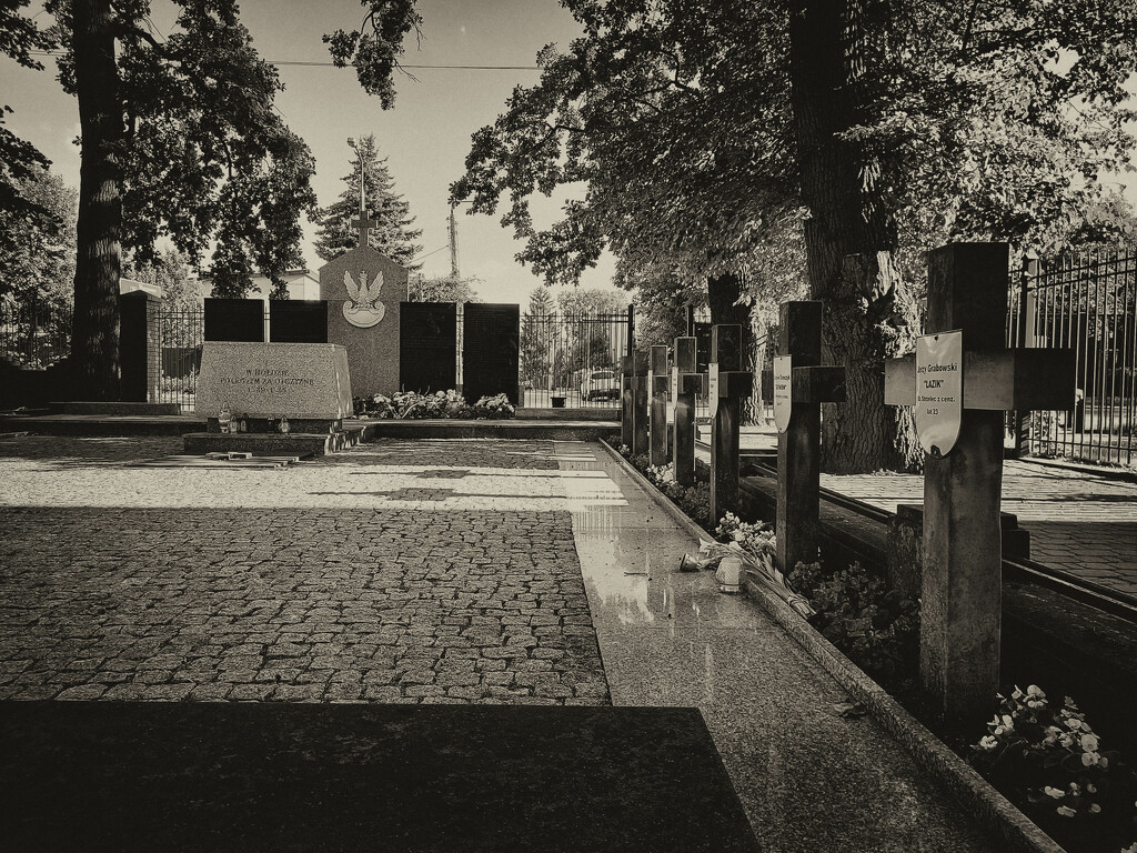 Soldiers graves by nmamaly