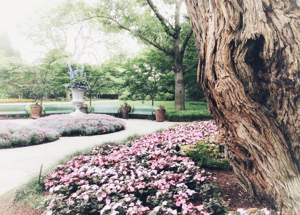 The Dallas Arboretum in springtime by louannwarren