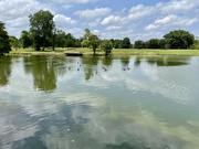9th Aug 2021 - Reflecting pond