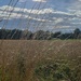 Ripe fields of golden hay by shine365