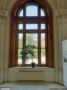 9th Aug 2021 - Arched Window