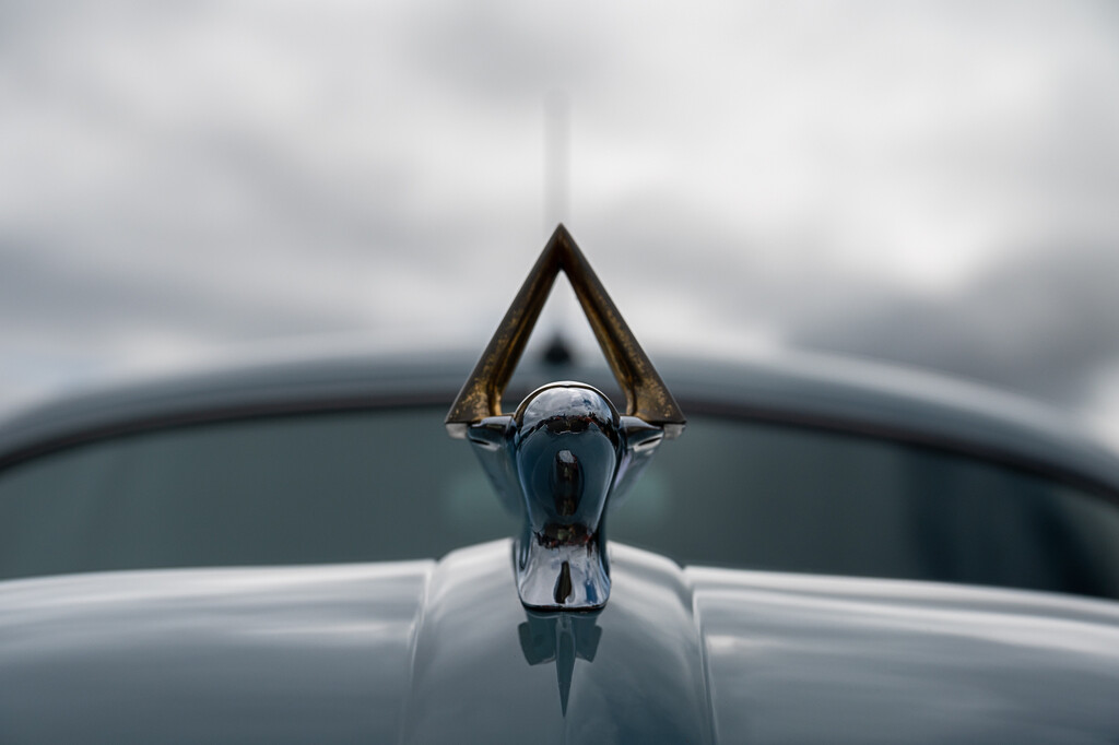 Hood Ornament by theredcamera