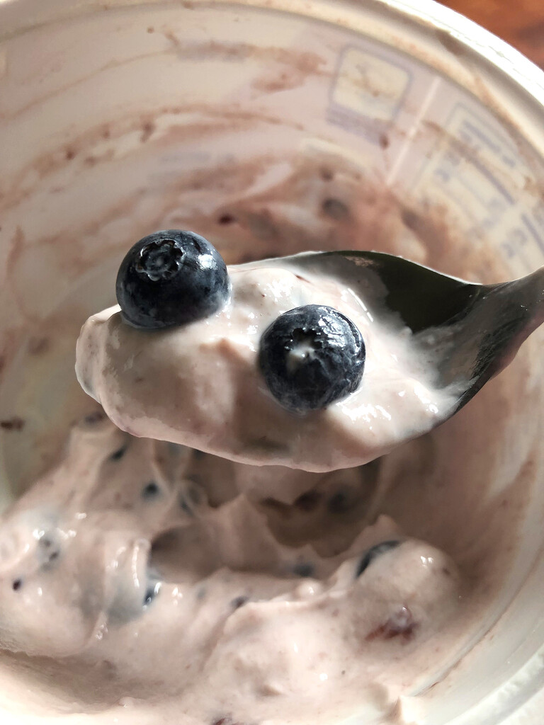 My yogurt is watching me! by homeschoolmom