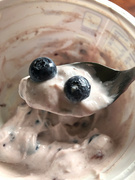 4th Aug 2021 - My yogurt is watching me!