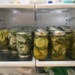 8-9-21 pickle project by bkp
