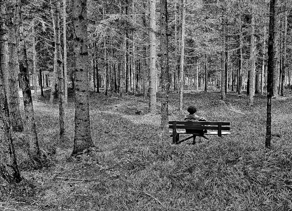 Toute seule dans le bois  by caterina