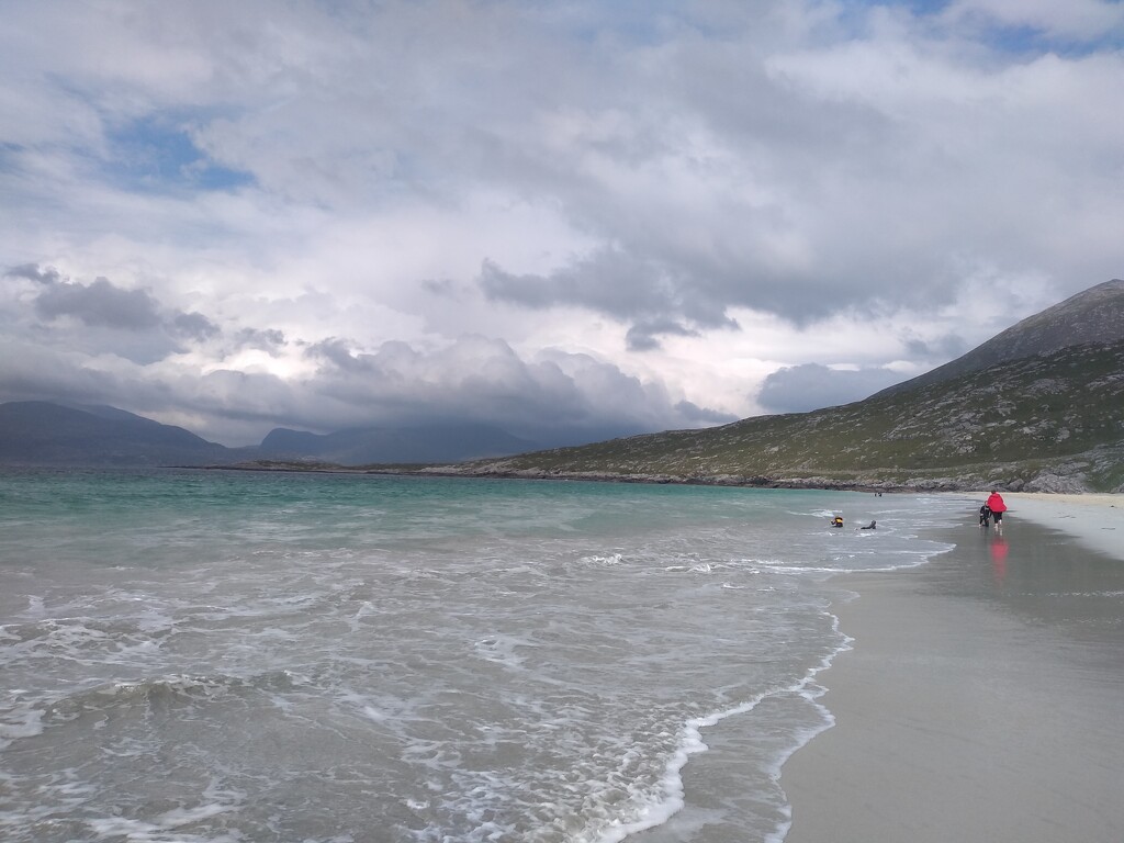 Luskentyre Beach by moirab