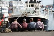 10th Aug 2010 - Tórshavn harbour