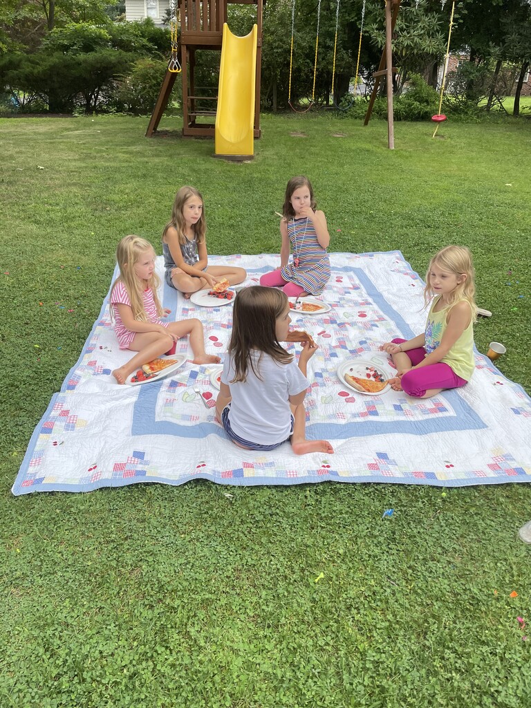 Backyard picnic by mdoelger